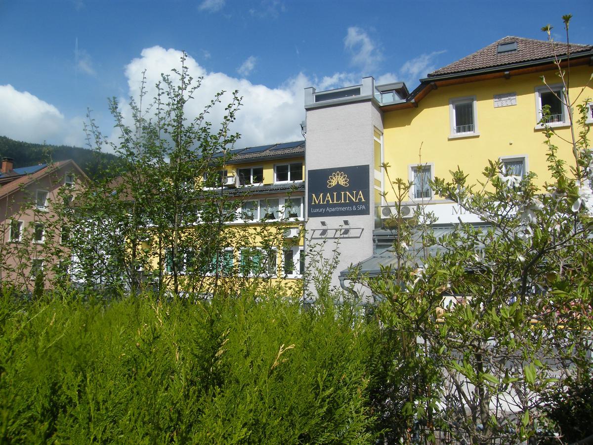 Malina Luxury Apartments And Spa Todtnau Exteriér fotografie
